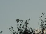 DSC00302