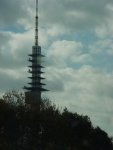 DSC00135