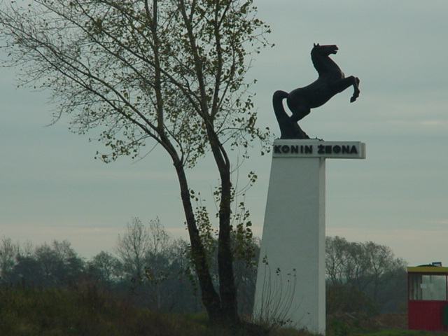 DSC00164
