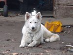 DSC00254