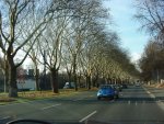 DSC00260