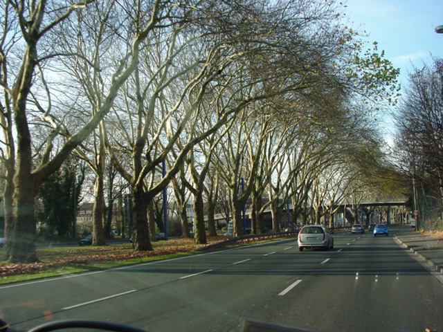 DSC00261