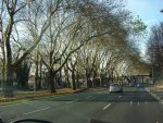 DSC00261
