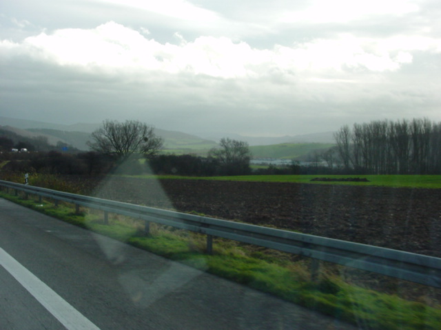 DSC00294