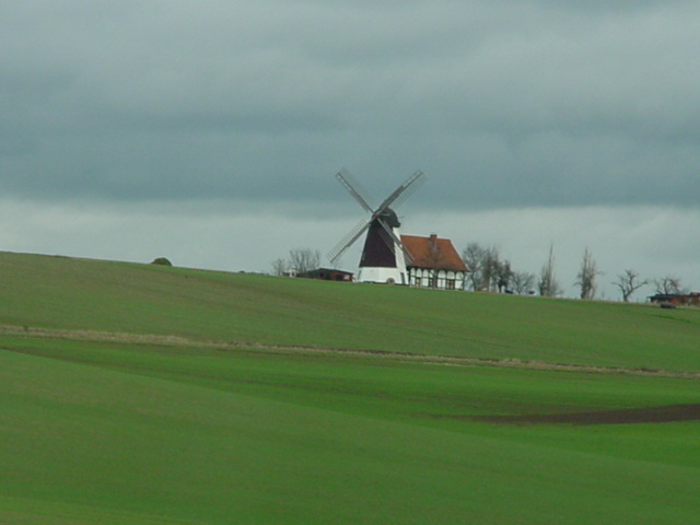 DSC00304