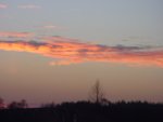 DSC00323