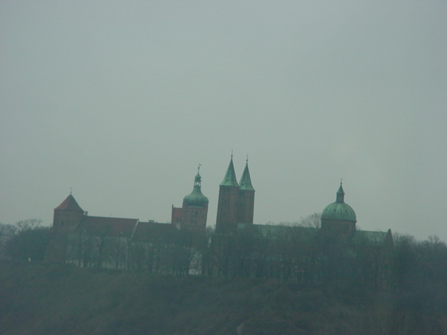 DSC00388
