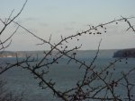 DSC00991