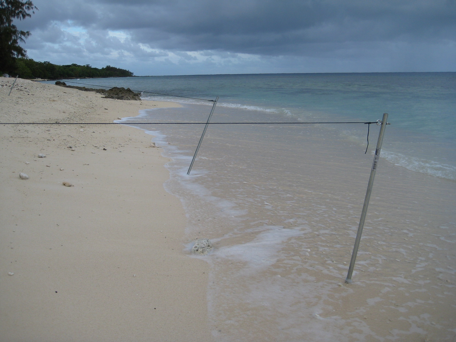Elevated radials over salt water. The coral coast does not allow to 'insert' steel poles - you have to 'hammer' them in
