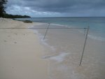 Elevated radials over salt water. The coral coast does not allow to 'insert' steel poles - you have to 'hammer' them in