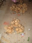 A bunch of coconuts for under $2