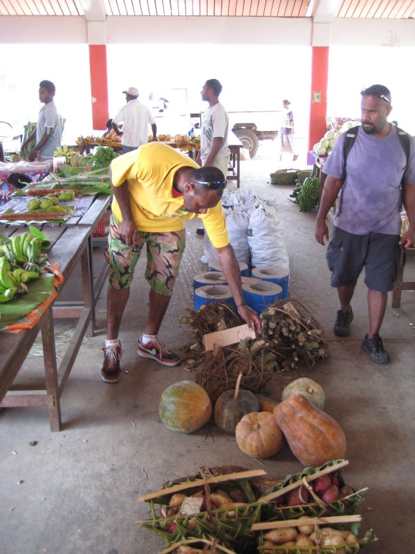 The most expensive thing in the market - Kava roots