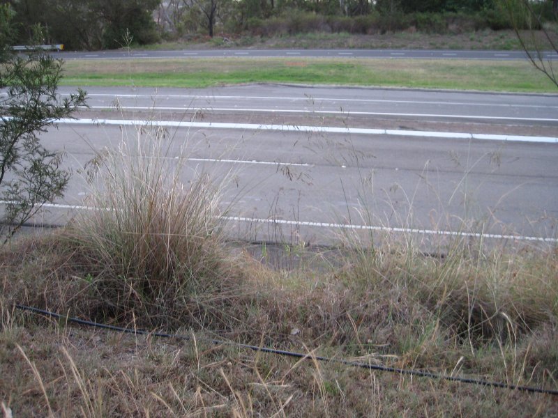 Coax going to beverage feed point