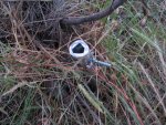 Radials at the beverage feedpoint - did not help unfortunatelly.