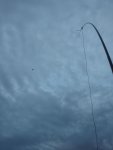 There is an LC tuner attached at the top of the 18m spidermast, and 1/2wavelength of wire carried by a kite