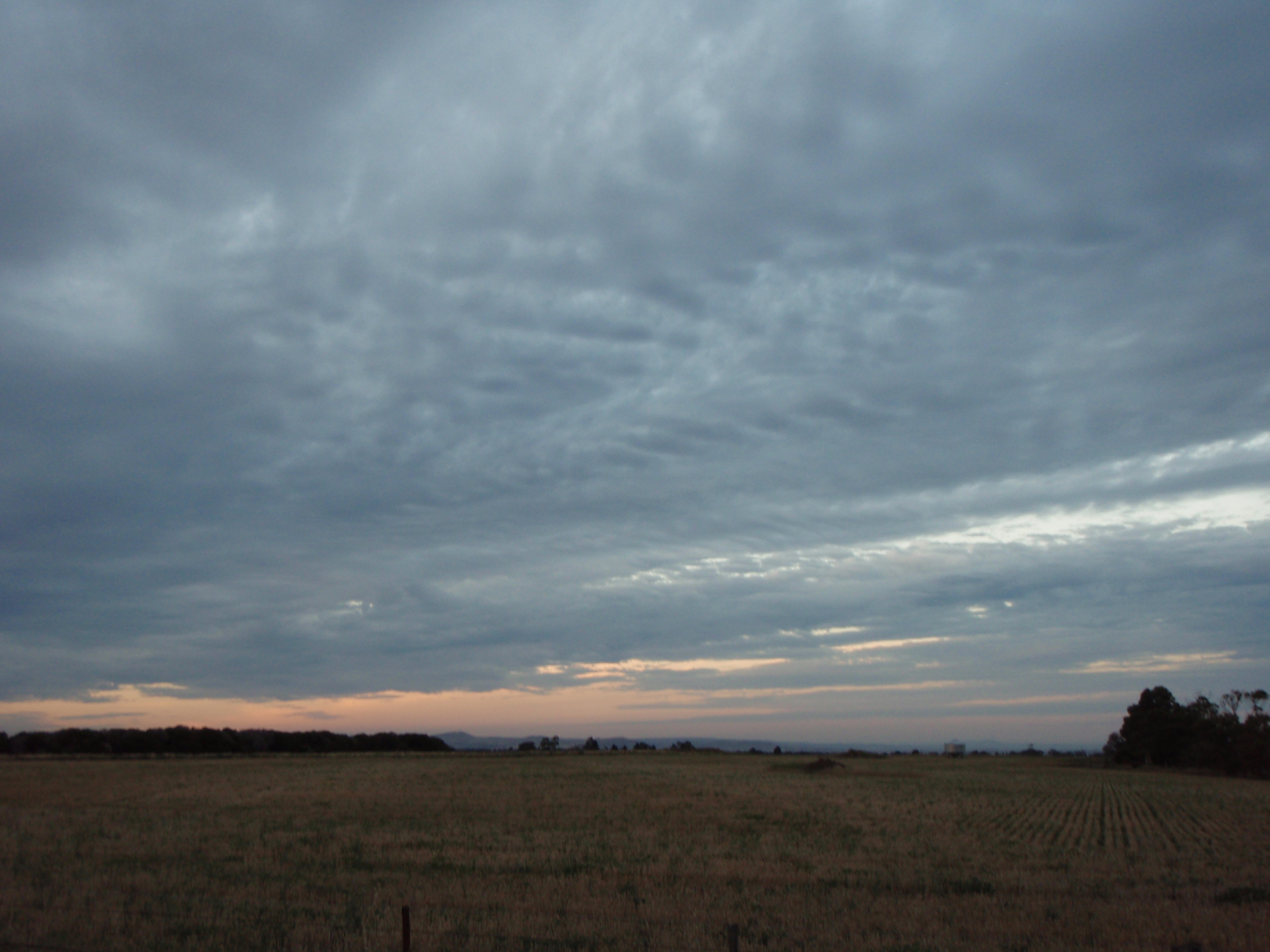 All you need for kite DX-ing is a field without people, TVs and high voltage lines