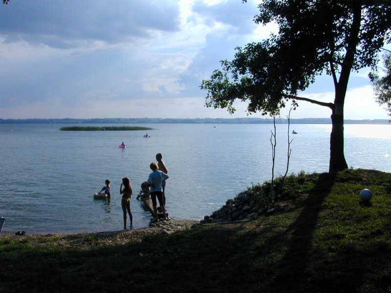 Dscn3118.jpg
