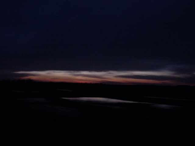 DSC01028