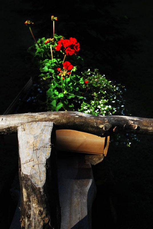 DSC_7891_R.jpg