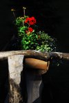 DSC_7891_R.jpg