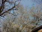 DSC01032