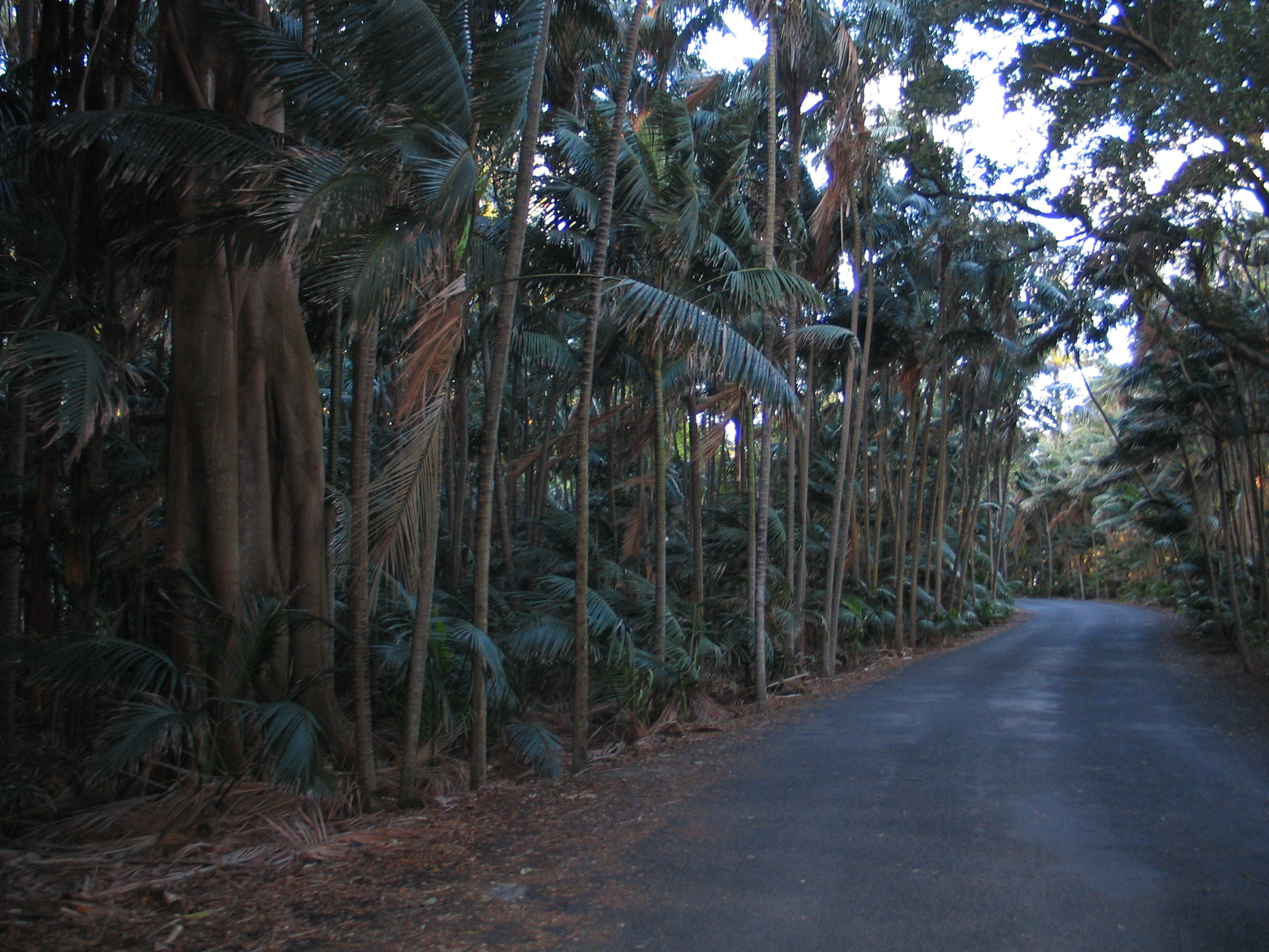 On the way to VK9LL QTH