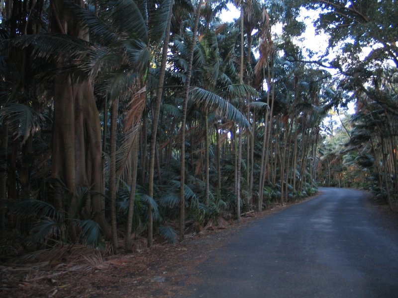 On the way to VK9LL QTH
