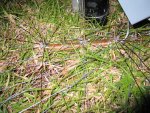 51 ground radial