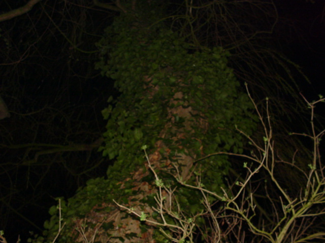 DSC01037