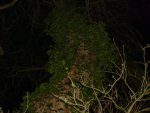 DSC01037