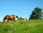 IMG_0078