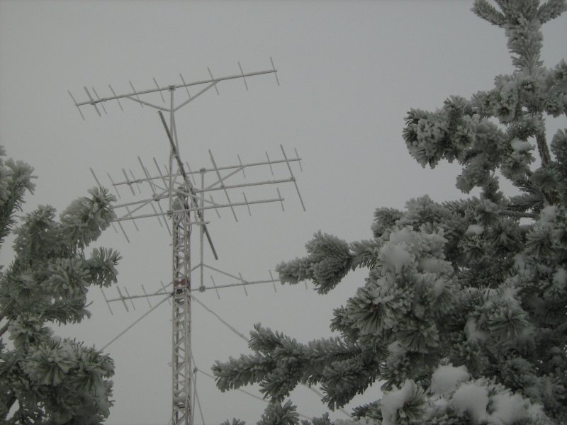 Picture 001