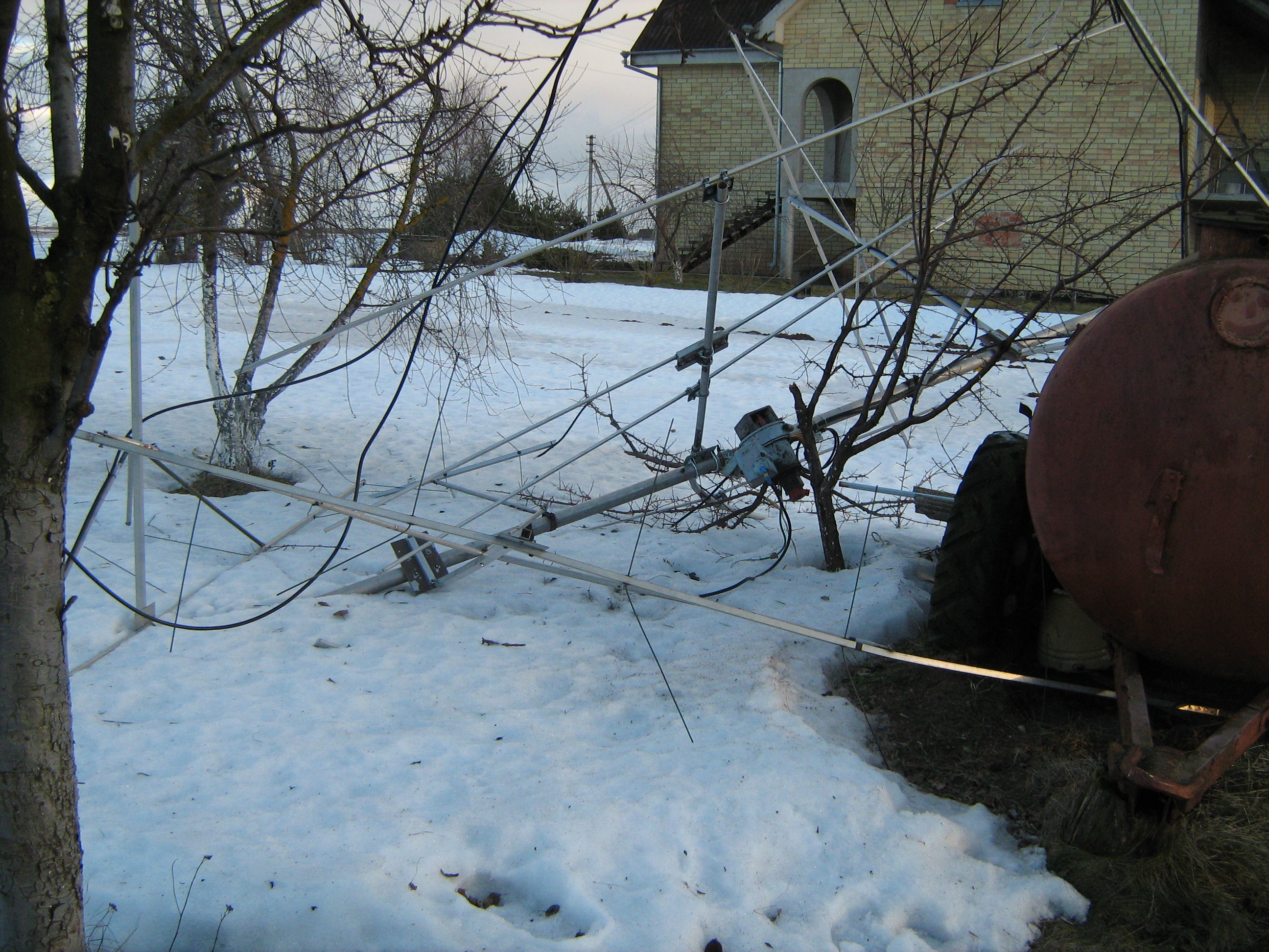 Picture 003