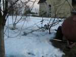 Picture 003