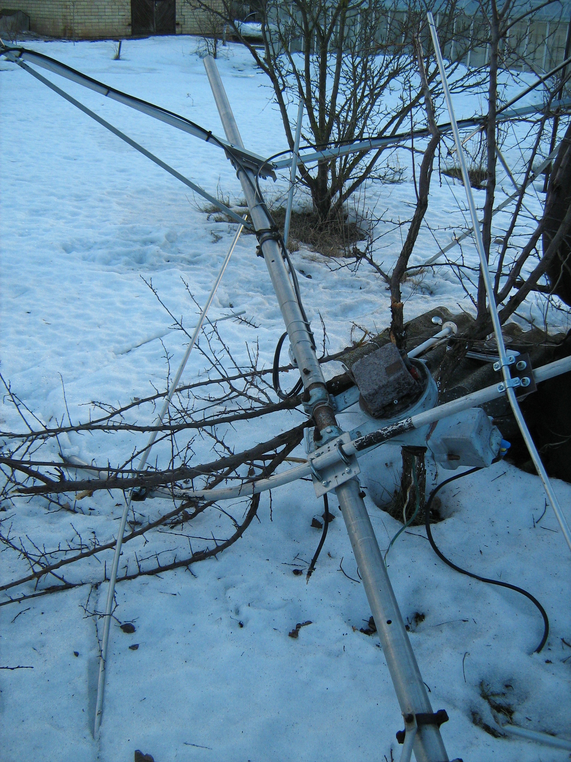 Picture 005