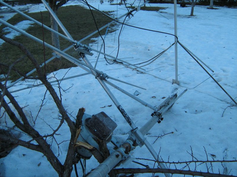 Picture 009