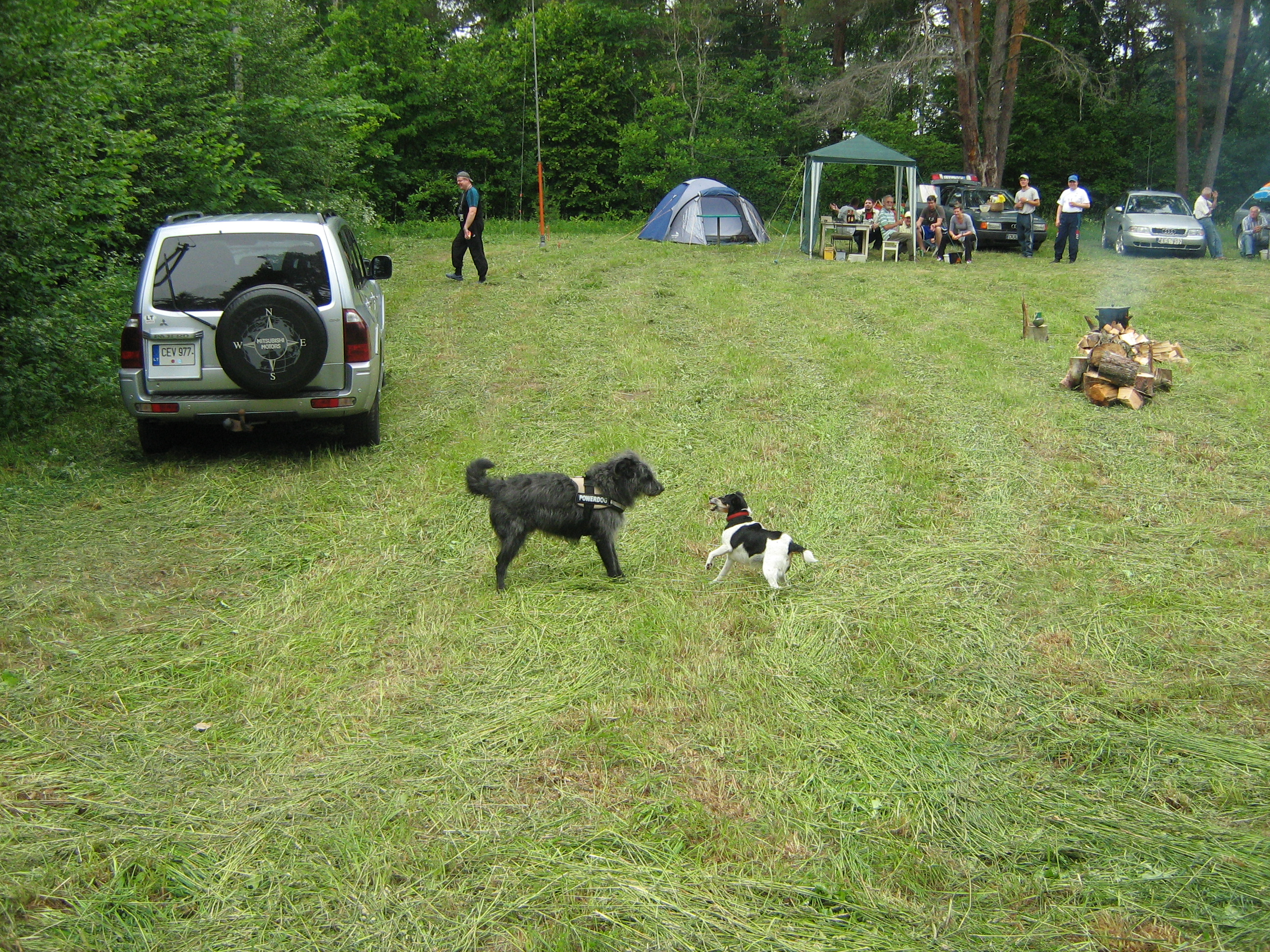 Picture 011