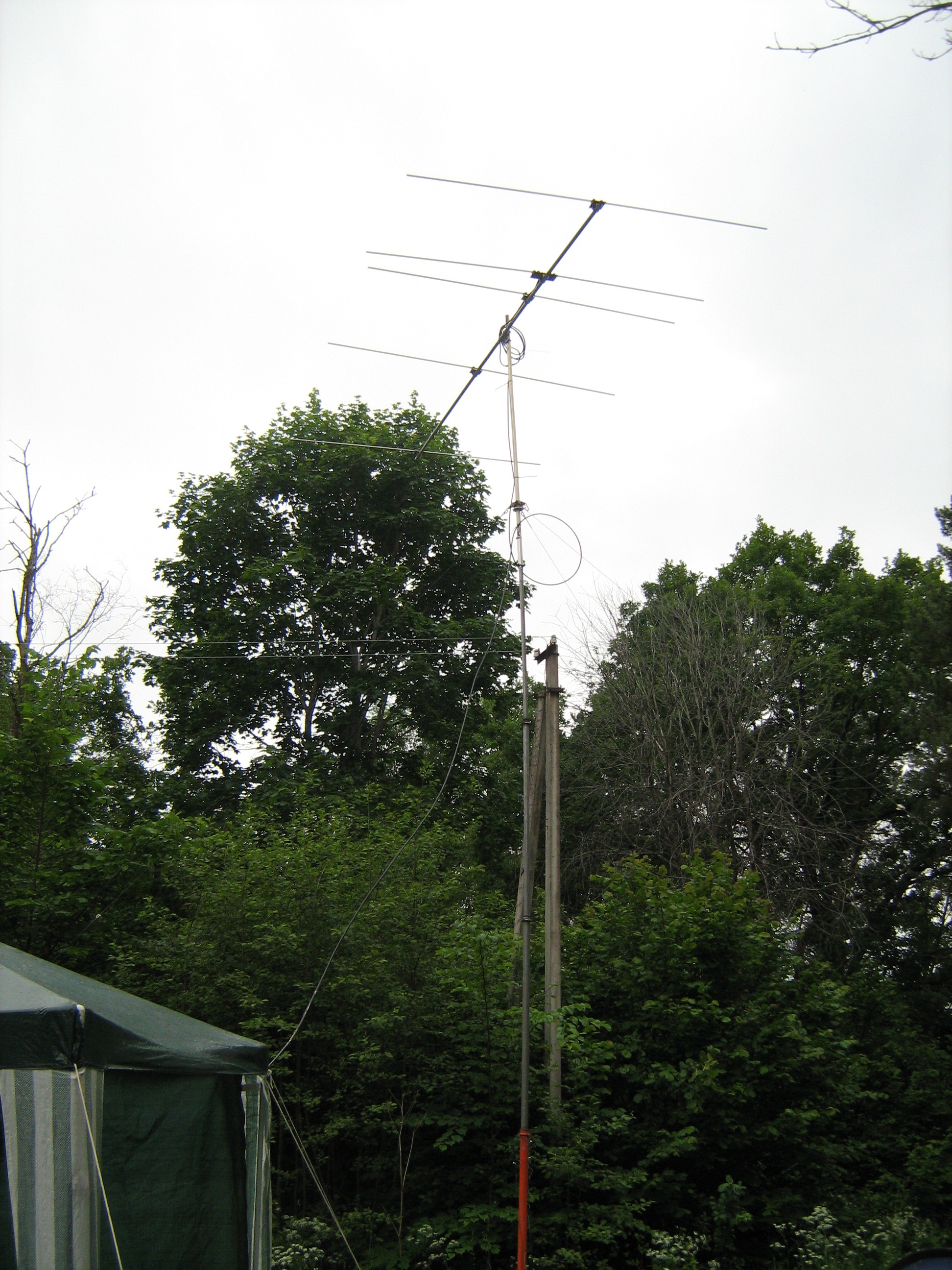 Picture 021