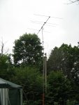 Picture 021