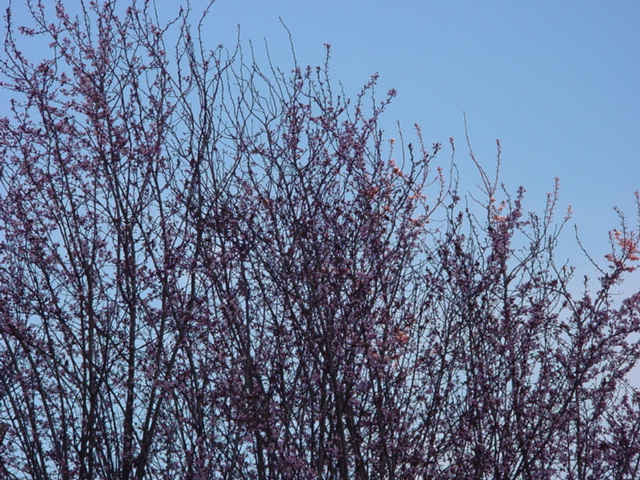 DSC01095