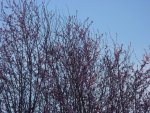 DSC01095