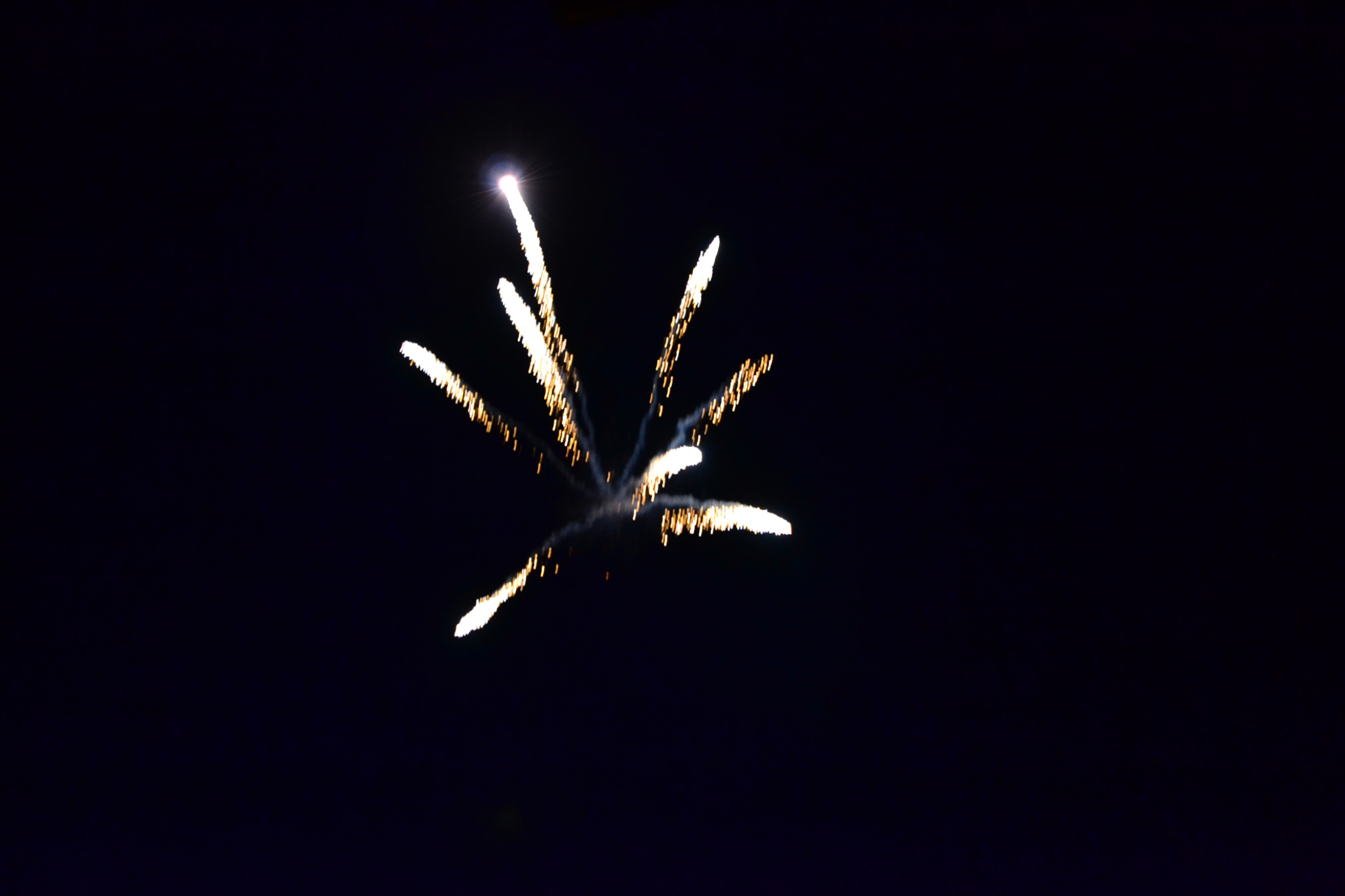 DSC_0475