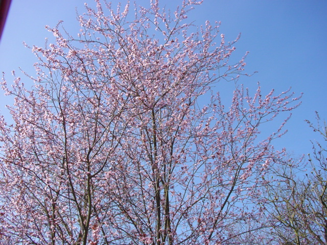 DSC01101