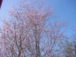 DSC01101