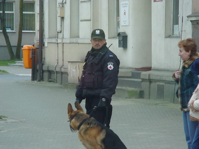 DSC01103