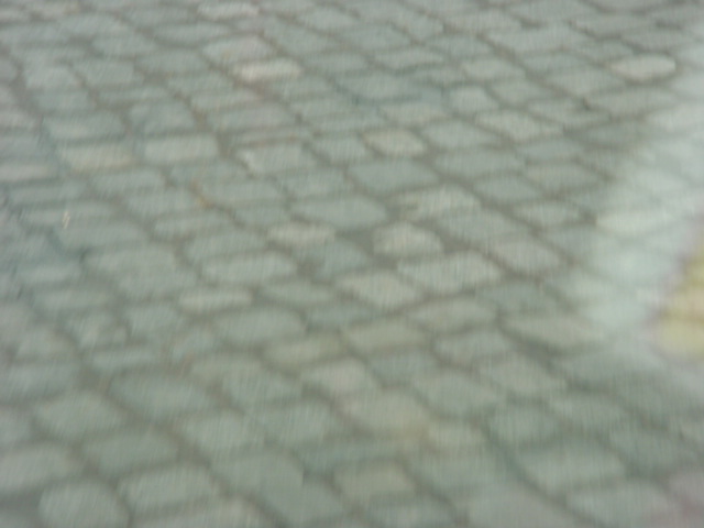 DSC01124