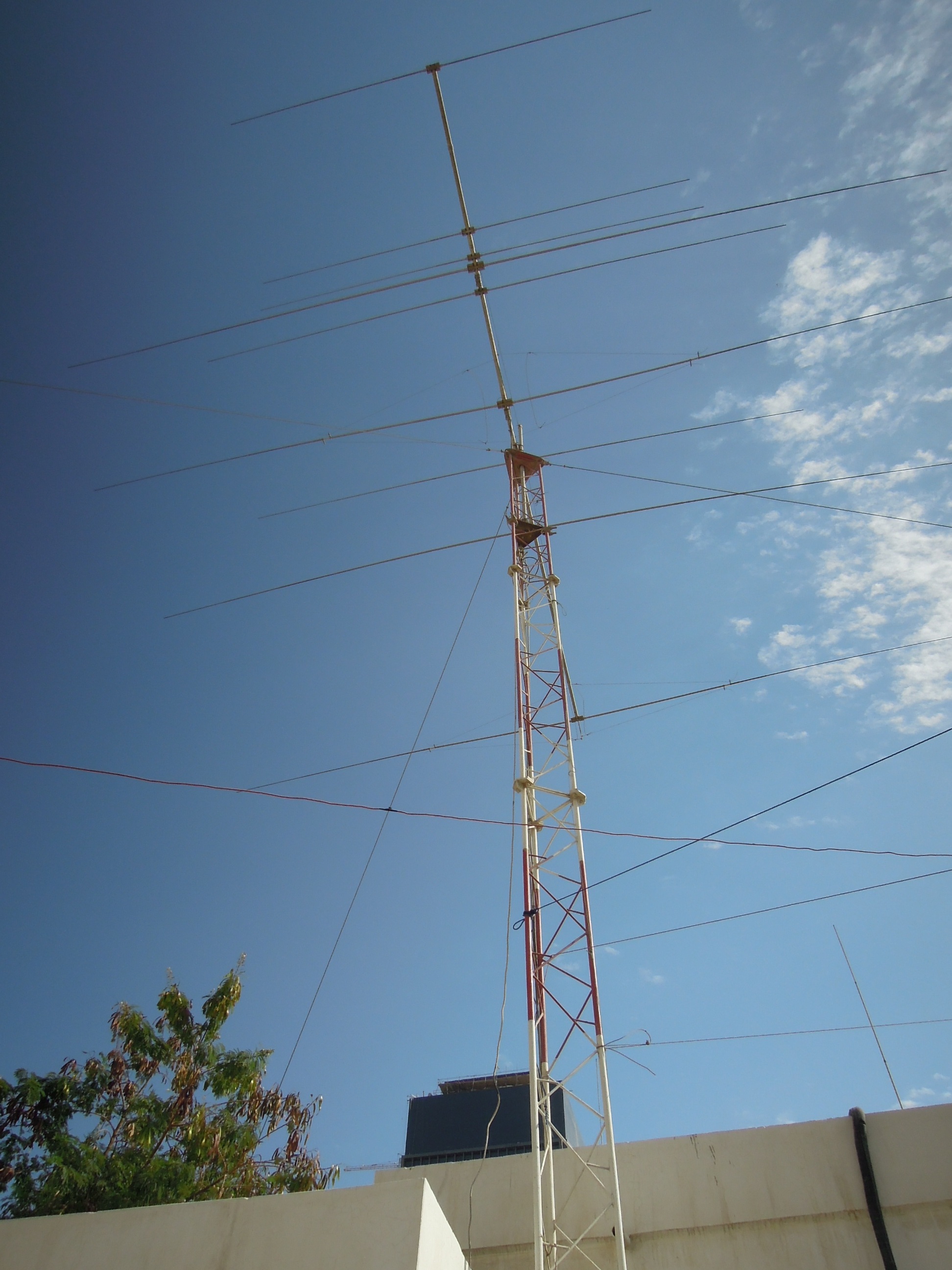 DSCN6423.JPG