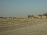 DSCN6458.JPG