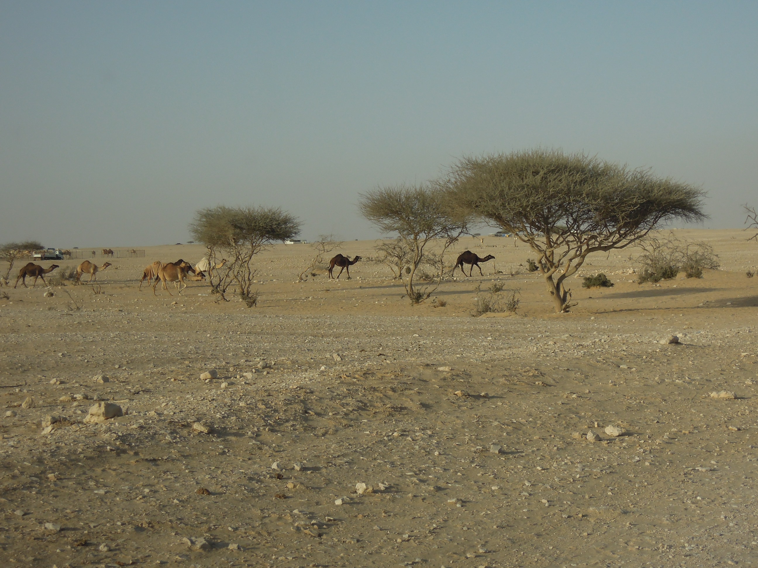 DSCN6459.JPG