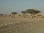 DSCN6459.JPG